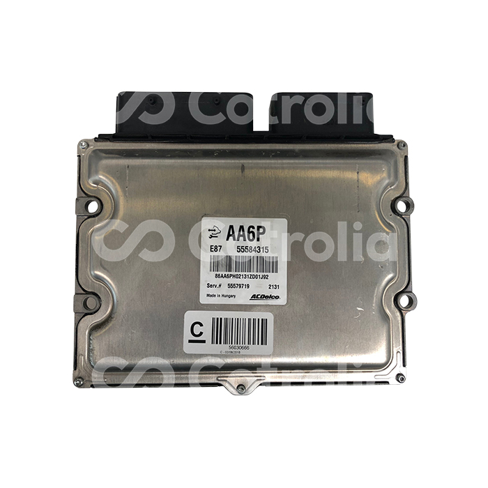 ECU Calculateur ACDELCO E87